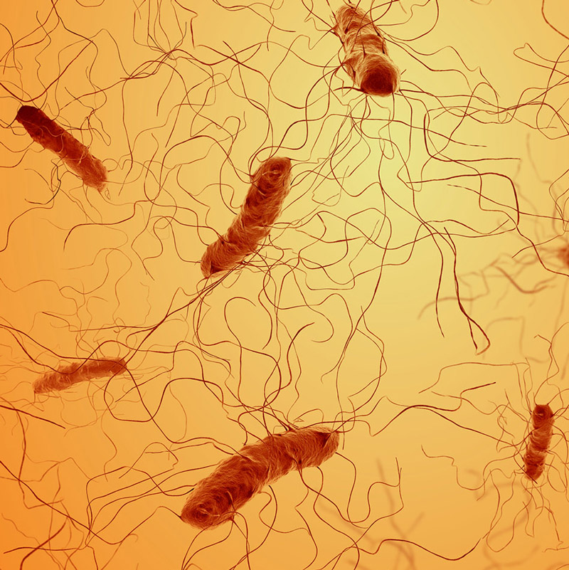 Crystal IS || Green Island, NY 